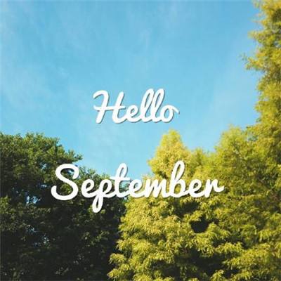 聚体育娱乐APP/手机APP下载官方版